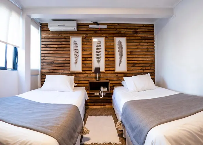Etnico Bio Bio Hotel
