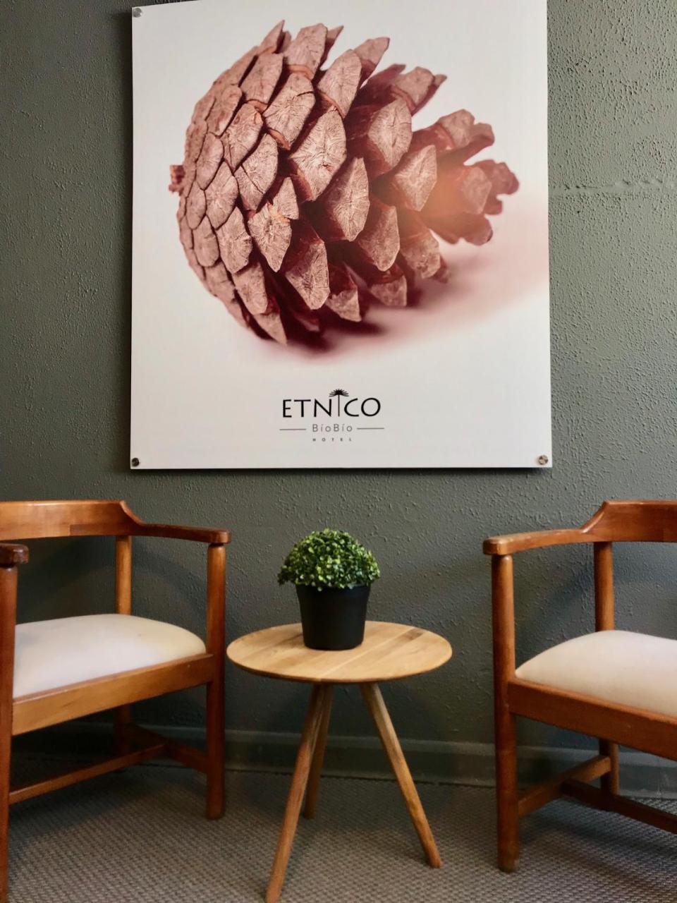 Etnico Bio Bio Bed & Breakfast Los Angeles (Bio Bio)